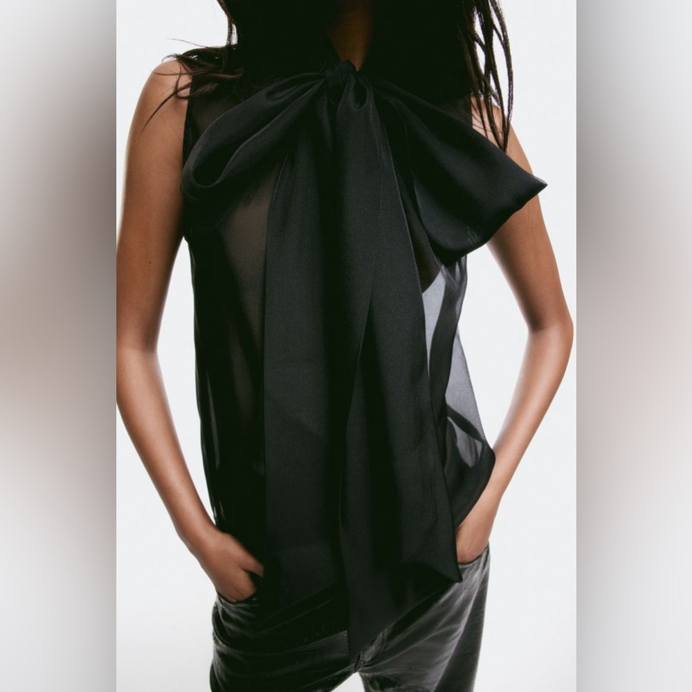 H&M Sheer Tie-neck Blouse